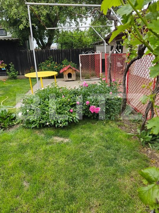 Casa de vânzare 5 camere Filiaşi - 189615CV | BLITZ Craiova | Poza13