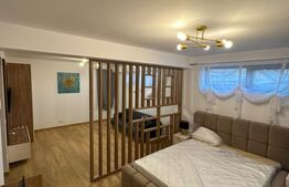 Clădire P+2–6 garsoniere moderne, închiriate integral, zona Brestei 