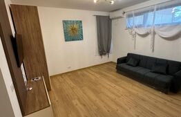 Clădire P+2–6 garsoniere moderne, închiriate integral, zona Brestei 