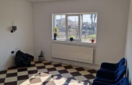 Casă de vânzare P+M, 184 mp – Castranova, Dolj