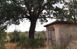 Casa P+1 renovabila, 1008 mp de teren, Sarbatoarea