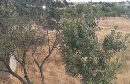 Casa P+1 renovabila, 1008 mp de teren, Sarbatoarea