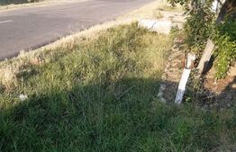 Casa P+1 renovabila, 1008 mp de teren, Sarbatoarea