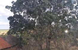 Casa P+1 renovabila, 1008 mp de teren, Sarbatoarea