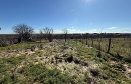 Casa P+1 renovabila, 1008 mp de teren, Sarbatoarea