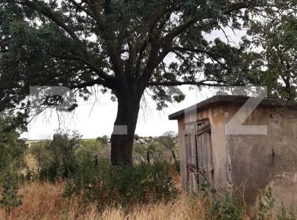 Casa de vânzare 5 camere Exterior Vest - 189676CV | BLITZ Craiova | Poza1