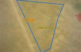 Teren IV 1.331 mp, deschidere bilaterală, toate utilitățile, Mischii