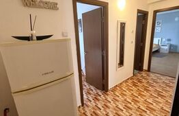 Garsoniera decomandata, 42 mp, zona Brestiei-Promenada,