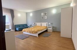 Garsoniera decomandata, 42 mp, zona Brestiei-Promenada,