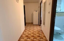 Garsoniera decomandata, 42 mp, zona Brestiei-Promenada,