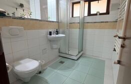 Garsoniera decomandata, 42 mp, zona Brestiei-Promenada,