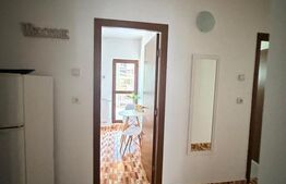 Garsoniera decomandata, 42 mp, zona Brestiei-Promenada,