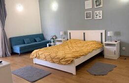 Garsonieră de vânzare Craiovita Noua - 184196AV | BLITZ Craiova | Poza2