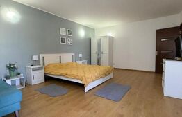 Garsoniera decomandata, 42 mp, zona Brestiei-Promenada,