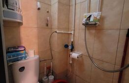 Camera de camin - 20 mp - Valea Rosie