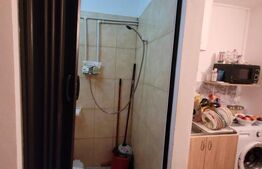 Camera de camin - 20 mp - Valea Rosie