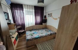 Camera de camin - 20 mp - Valea Rosie