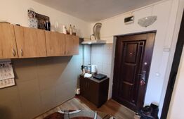 Camera de camin - 20 mp - Valea Rosie