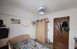 Camera de camin - 20 mp - Valea Rosie