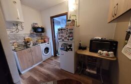 Camera de camin - 20 mp - Valea Rosie