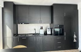 Apartament 2 camere open space, 55 mp, zona Calea Bucuresti - President