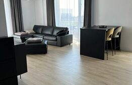 Apartament 2 camere open space, 55 mp, zona Calea Bucuresti - President