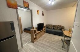 Apartament 2 camere, zona Valea Roșie