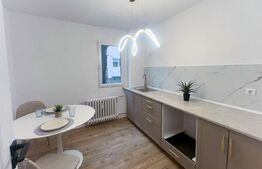 Apartament 2 camere, 47.50 mp, Bulevardul Carol I, zona Garii