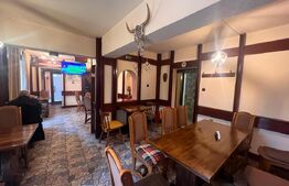 Restaurant 253 mp, zona Rovine