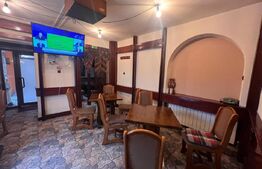 Restaurant 253 mp, zona Rovine