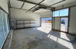 Spatiu comercial, 220mp, Malu Mare