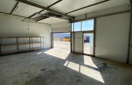 Spatiu comercial, 220mp, Malu Mare