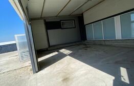 Spatiu comercial, 220mp, Malu Mare