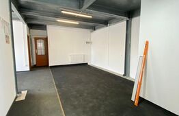 Spatiu comercial, 220mp, Malu Mare