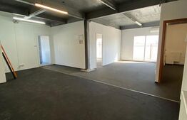 Spatiu comercial, 220mp, Malu Mare