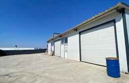 Spatiu comercial, 220mp, Malu Mare