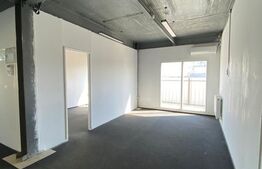Spatiu comercial, 220mp, Malu Mare