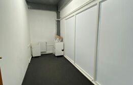 Spatiu comercial, 220mp, Malu Mare