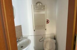 Spatiu comercial, 220mp, Malu Mare