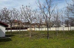 Casă parter cu terasă generoasă, teren 1267 mp,  Preajba-zona Damila