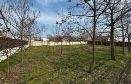 Casă parter cu terasă generoasă, teren 1267 mp,  Preajba-zona Damila