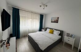 Apartament 2 camere, 50 mp, zona Brazda lui Novac - Inspectoratul de Politie