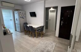 Apartament 2 camere, 50 mp, zona Brazda lui Novac - Inspectoratul de Politie
