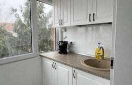 Apartament 2 camere, 50 mp, zona Brazda lui Novac - Inspectoratul de Politie