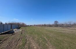 Teren intravilan 478 mp, front 24 ml, zona Malu Mare