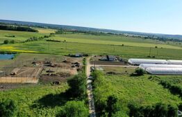 Teren EV și IV cu casă, 29.600 mp, utilități și acces facil, Albești