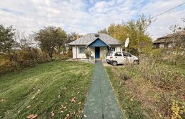 Teren EV și IV cu casă, 29.600 mp, utilități și acces facil, Albești