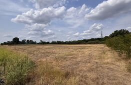 Teren EV și IV cu casă, 29.600 mp, utilități și acces facil, Albești