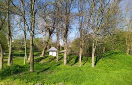 Teren EV și IV cu casă, 29.600 mp, utilități și acces facil, Albești