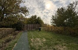 Teren EV și IV cu casă, 29.600 mp, utilități și acces facil, Albești